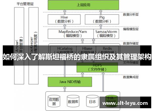 如何深入了解斯坦福桥的隶属组织及其管理架构